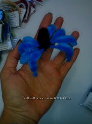 #5: Вот такой пауе у вас