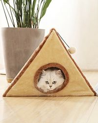 Домик для домашнего любимца кошки кота