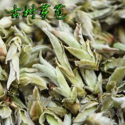 Белые почки пуэрных деревьев. Я Бао. Китайский чай.