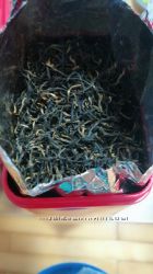 #5: Реальное фото